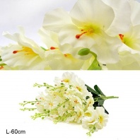   608843 - Цветок