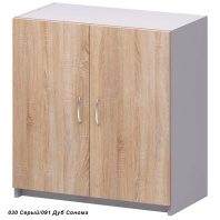 Бюджет шкаф закрытый 2550 Бюджет шкаф закрытый 2550