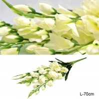   621181 - Цветок