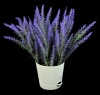 Цветочная композиция Лаванда мал., размеры: высота 25см, ширина 20см. РУЧНАЯ РАБОТА
