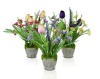   Цветочная композиция Тюльпанчики