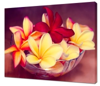 120 Канвасы 40*50 